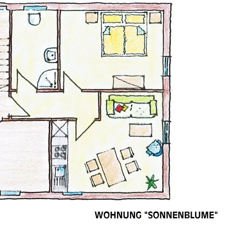 Bauer Mueller Sonnenblume * Bannesdorf